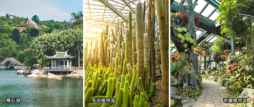 園林植物園